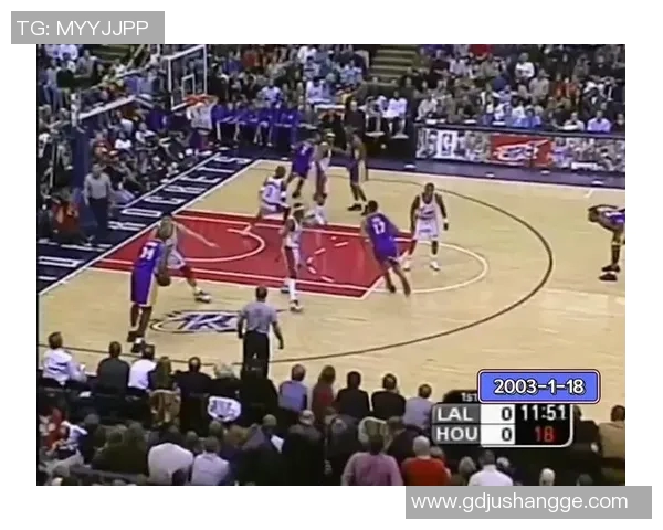 鲨鱼与姚明的奇妙碰撞探讨体育与海洋生物的跨界魅力